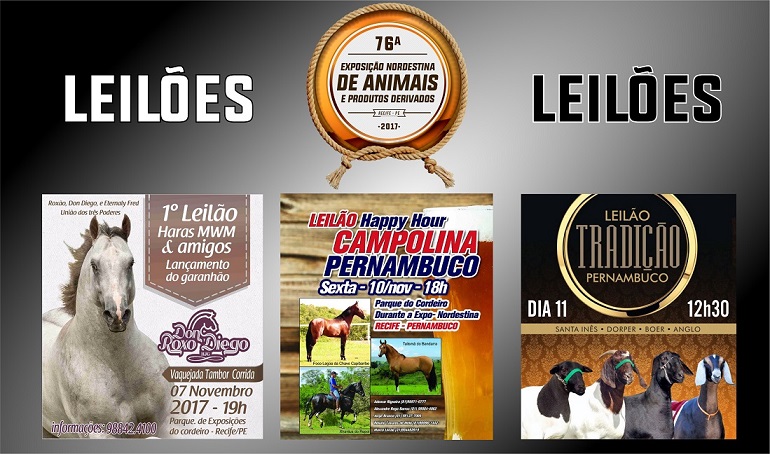 Leia mais sobre o artigo Leilões movimentam a Exposição de Animais