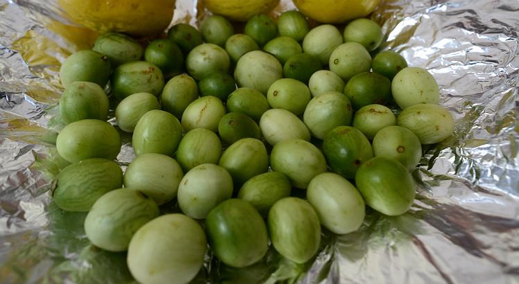 Leia mais sobre o artigo Cooperativa de Tabira vai exportar umbu para a Europa