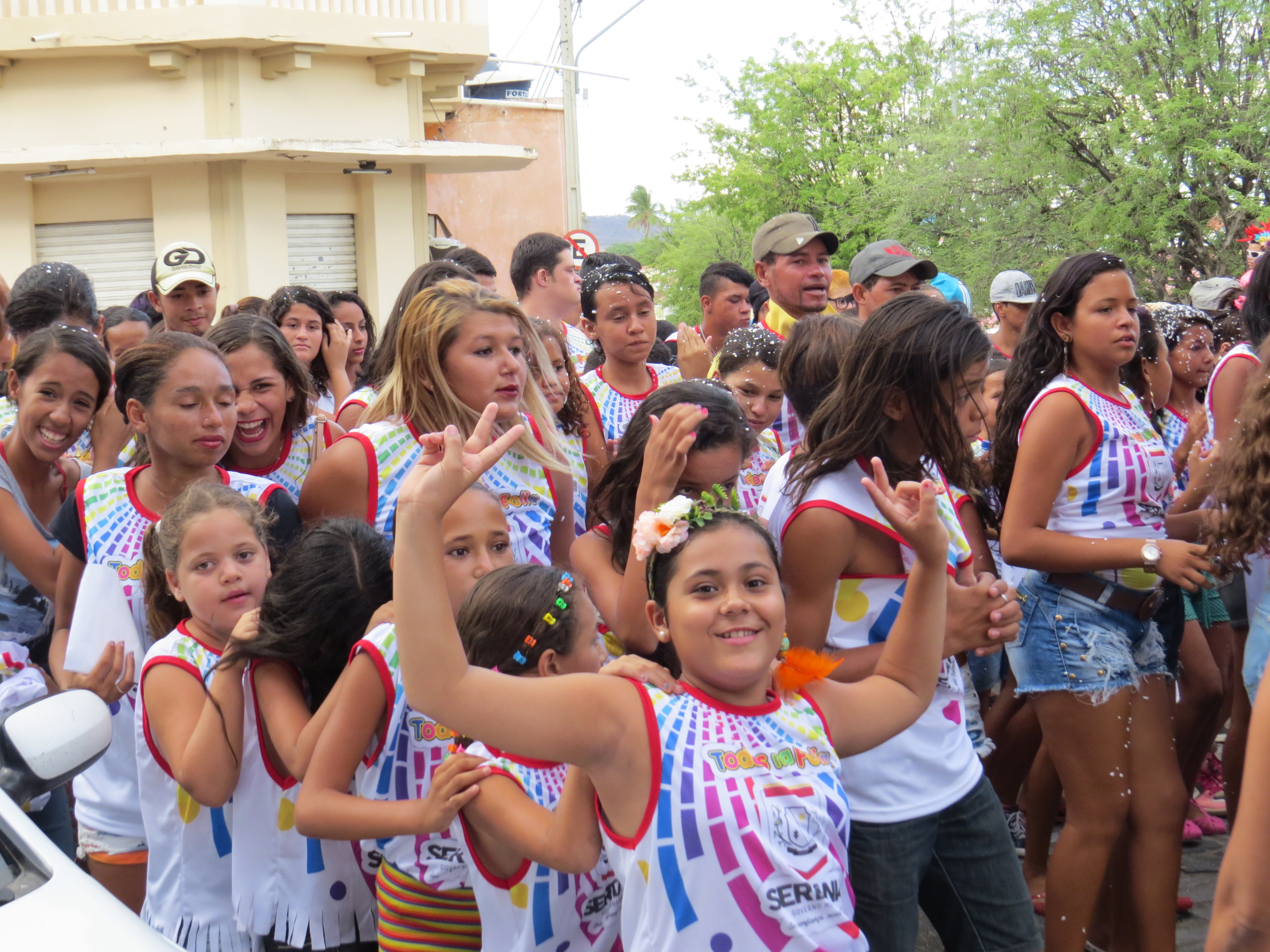 Leia mais sobre o artigo Mais de 40 blocos desfilam em Sertânia neste Carnaval