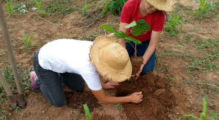 Leia mais sobre o artigo Estado lança projeto para a caatinga pernambucana