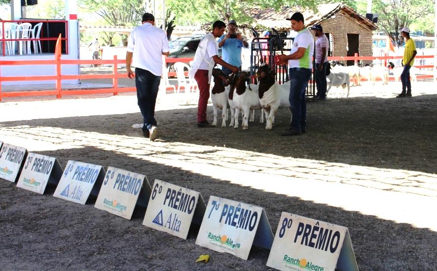Leia mais sobre o artigo Sertânia: tem início programação técnica da Expocose 2018