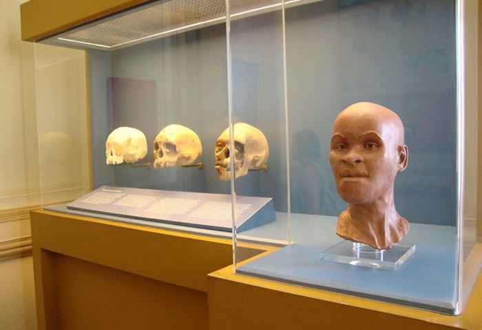 Leia mais sobre o artigo Veja o que Museu Nacional guardava quando pegou fogo