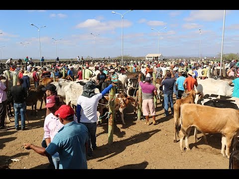 Leia mais sobre o artigo Volta da Feira do Gado de Tabira será definida em reunião nesta terça-feira