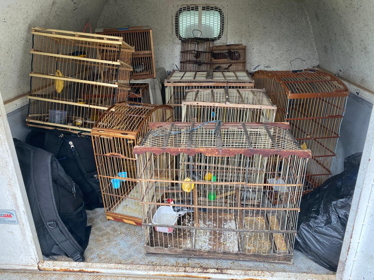 Leia mais sobre o artigo Operação apreende produtos de comércio ilegal e resgata diversos animais silvestres em Caruaru