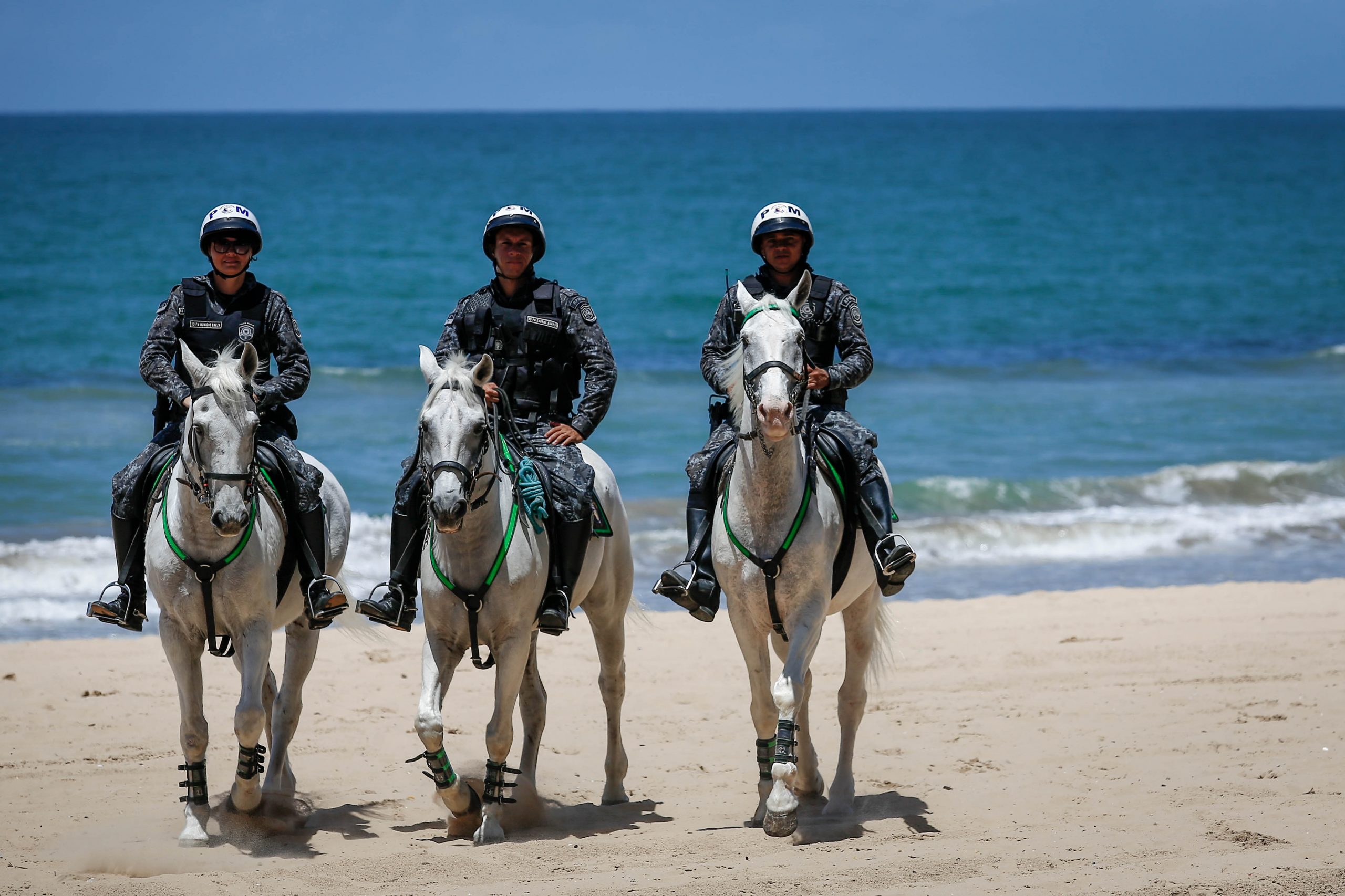 Leia mais sobre o artigo 