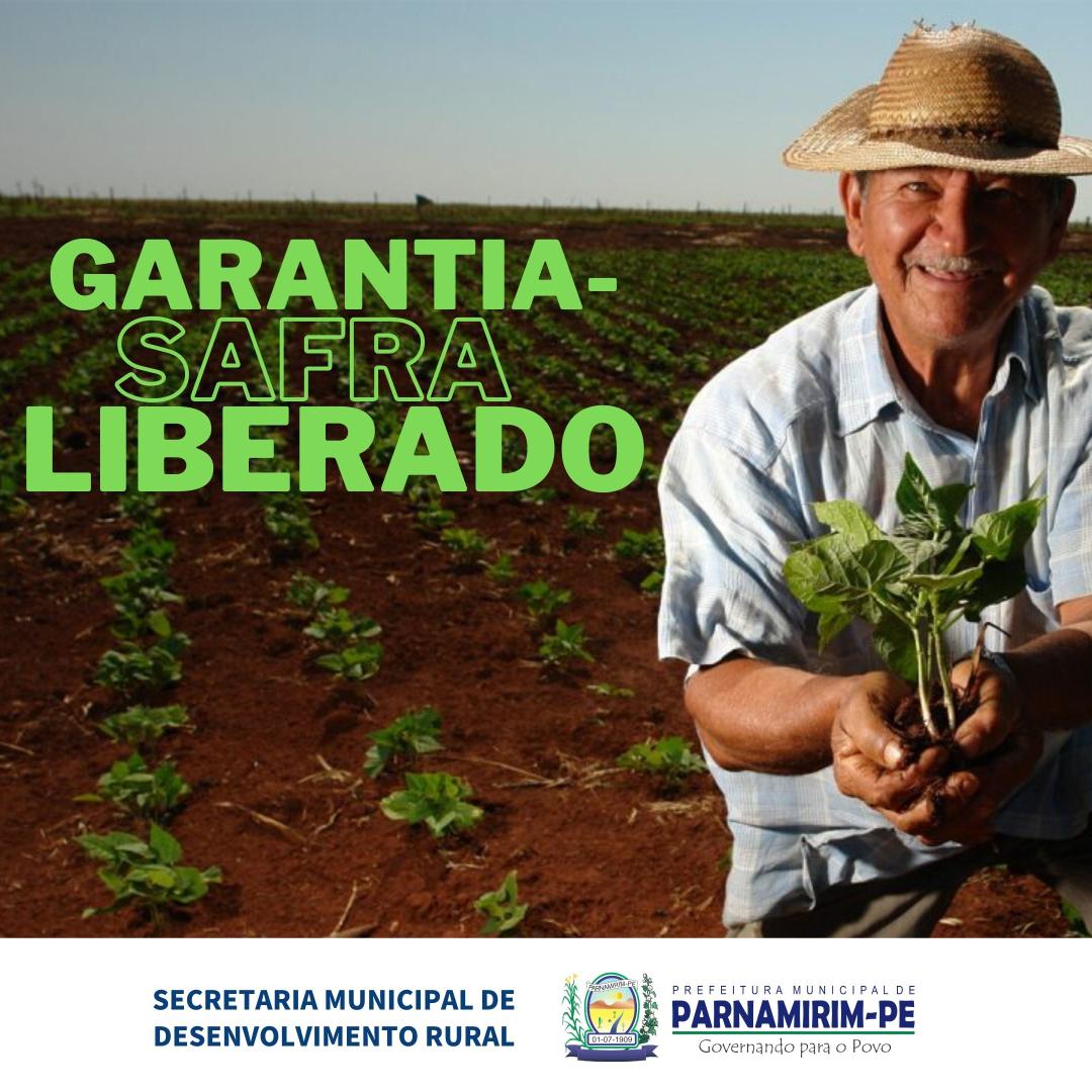 Leia mais sobre o artigo Trabalhadores rurais começam a receber o Garantia-Safra em novembro