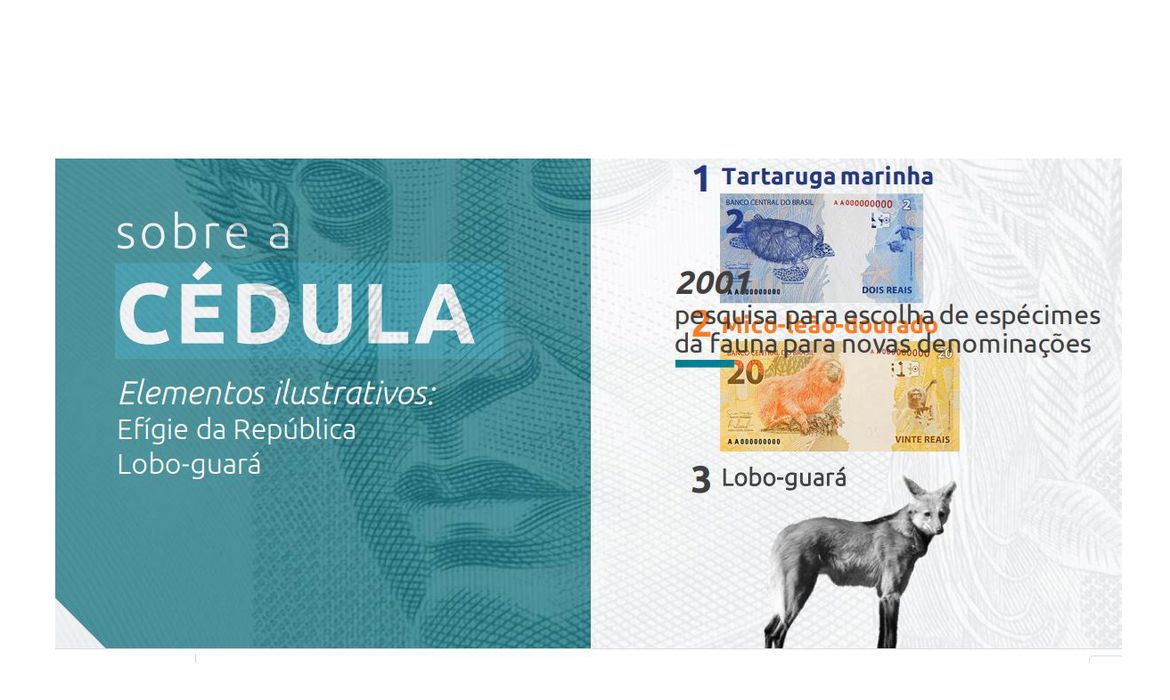 Leia mais sobre o artigo Nova cédula de R$ 200 entra em circulação na quarta-feira