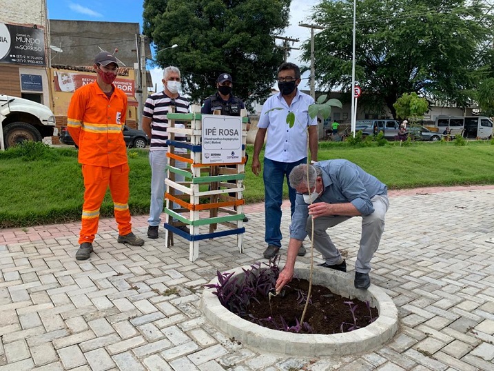 Leia mais sobre o artigo Sertânia recebe ações do Projeto Florestar