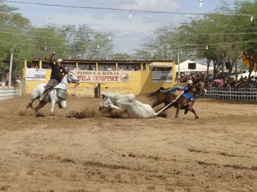 Leia mais sobre o artigo Ministério Público recomenda cancelamento de vaquejada em Sumé devido a pandemia do Covid-19