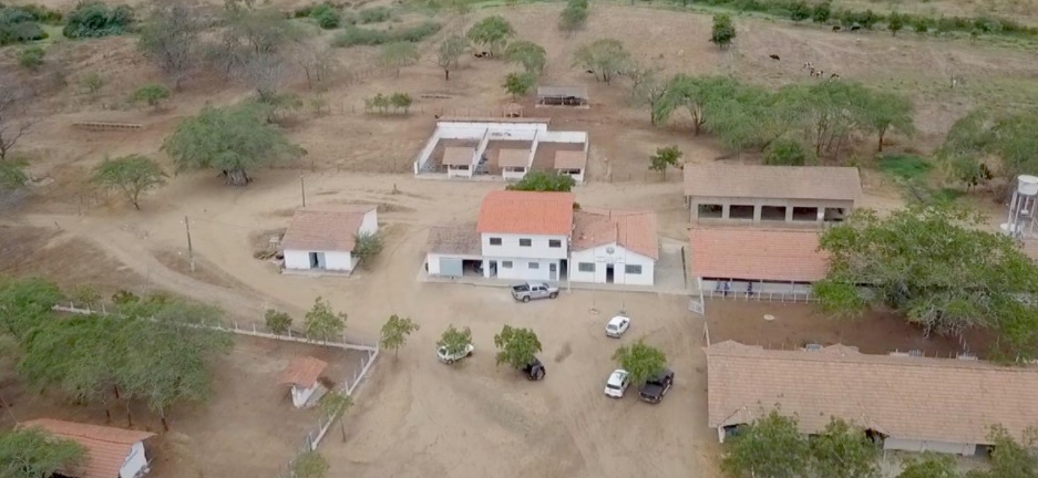 Leia mais sobre o artigo No Dia do Agricultor, SDA e IPA anunciam construção do laboratório de reprodução de bovinos, caprinos e ovinos