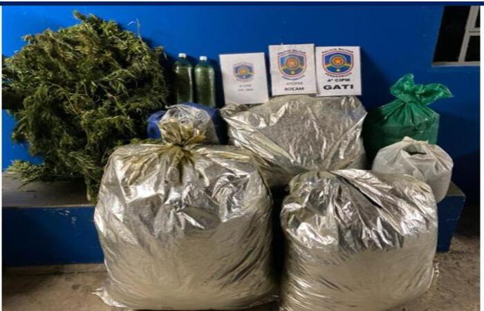 Leia mais sobre o artigo Polícia erradica cinco mil pés de maconha no município de Inajá