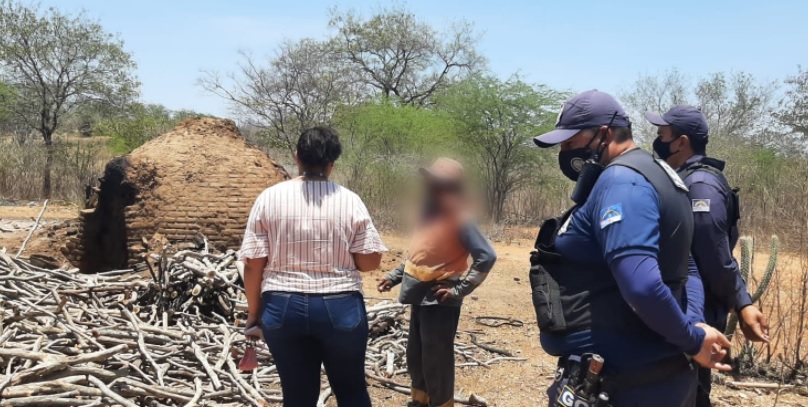 Leia mais sobre o artigo Guarda Civil Municipal de Sertânia atende denúncia de crime ambiental