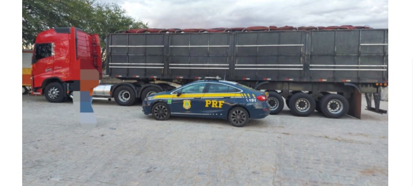 Leia mais sobre o artigo Carga de madeira irregular do Pará é apreendida em Sertânia