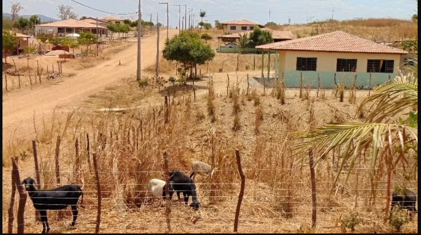 Leia mais sobre o artigo Desalojados da transposição do São Francisco estão há cinco anos sem água