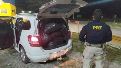 Leia mais sobre o artigo PRF apreende 290 kg de maconha em Arcoverde