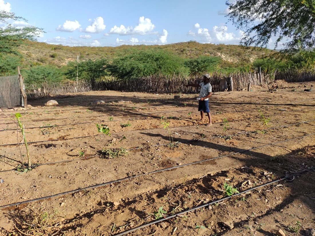 Leia mais sobre o artigo Serta faz projeto com idosos do Sertão do Moxotó