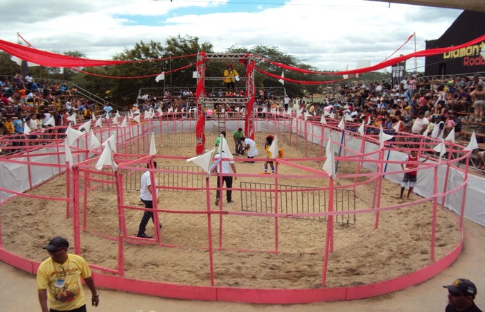 Leia mais sobre o artigo São Bento do Una realiza a 23ª Corrida da Galinha