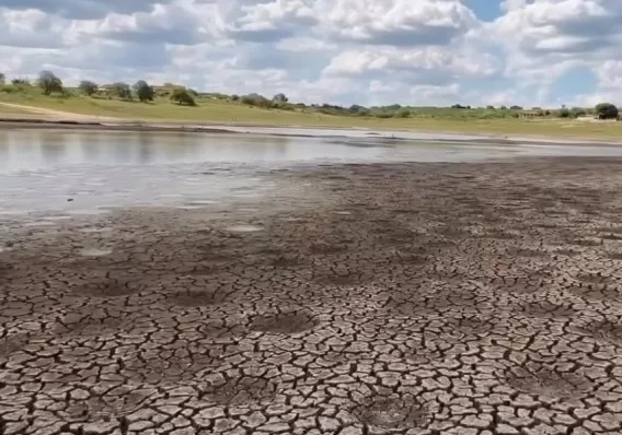 Leia mais sobre o artigo Sertânia vive drama hídrico