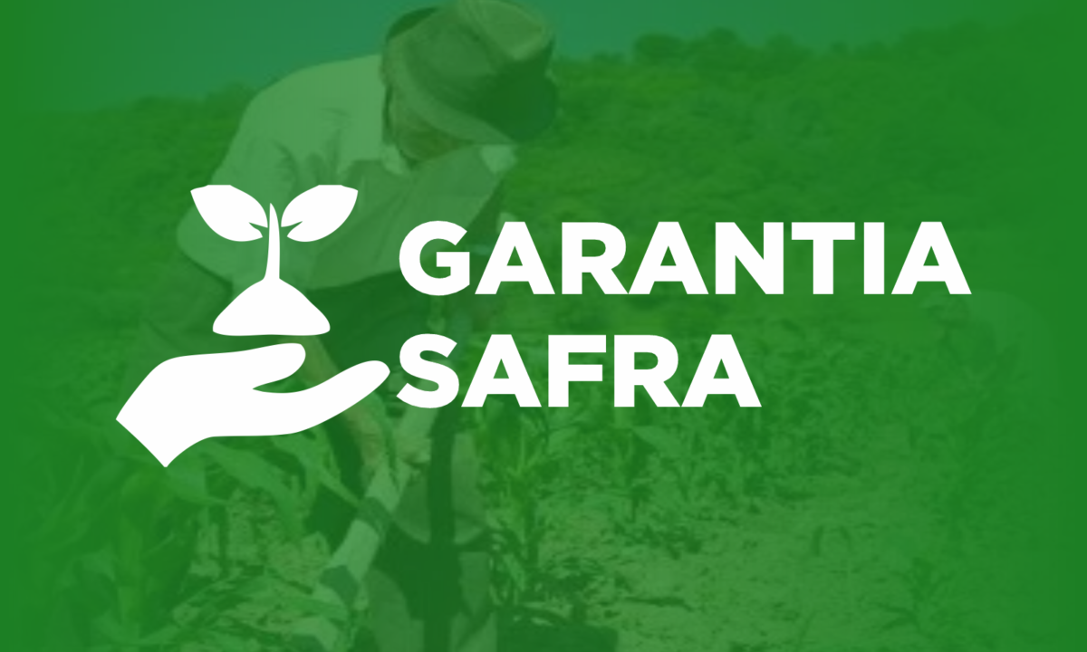 Leia mais sobre o artigo Governo de Sertânia realiza pagamento do Garantia-Safra