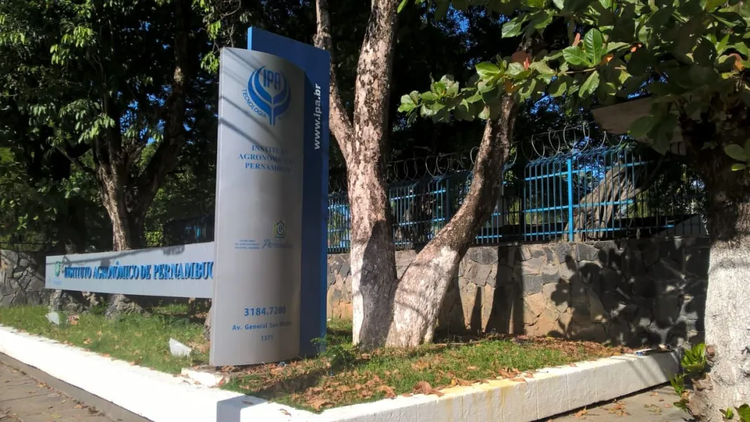 Leia mais sobre o artigo Deputado Luciano Duque denuncia sucateamento do IPA