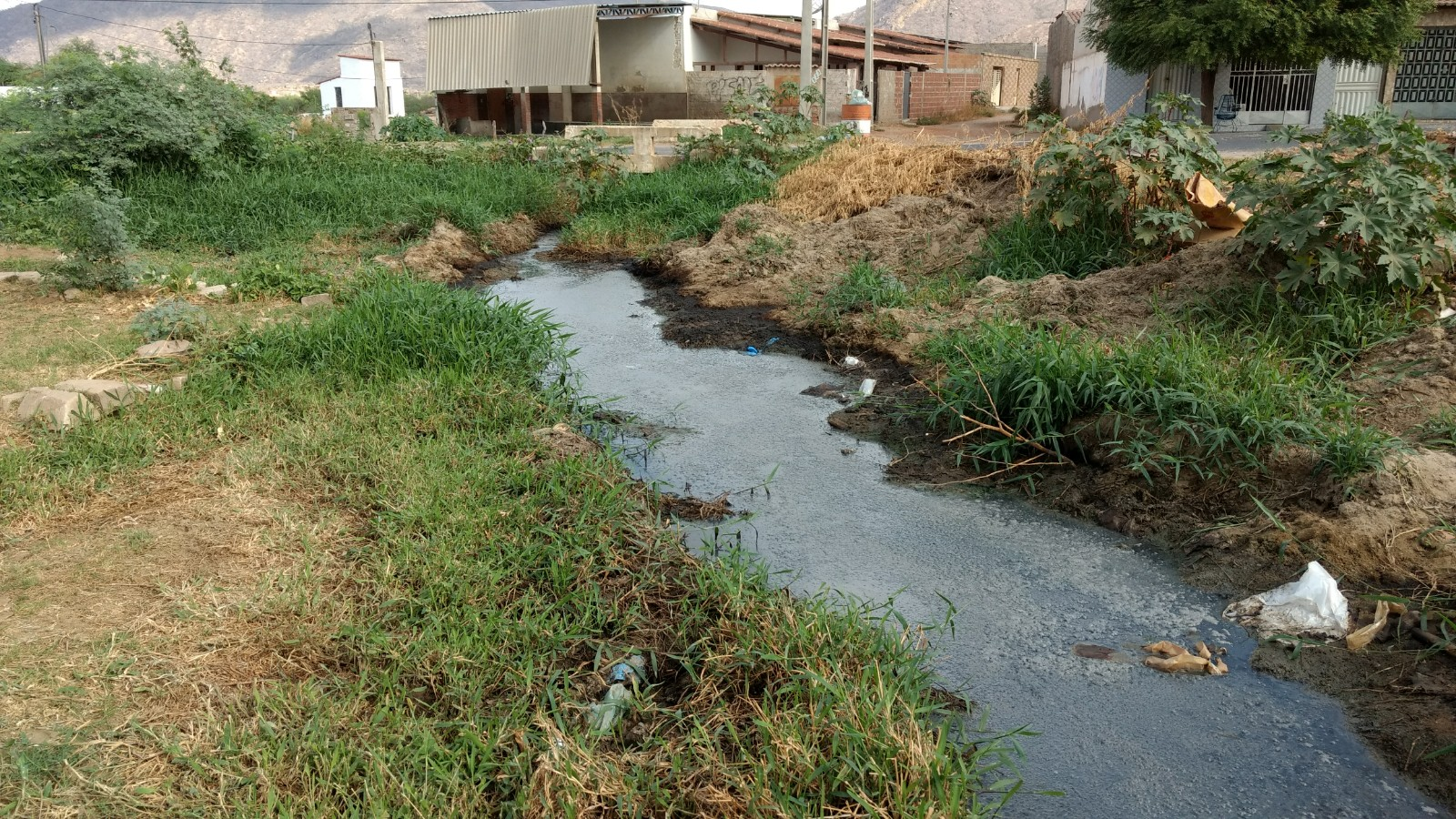 Leia mais sobre o artigo Apenas uma em cada cinco cidades pernambucanas tem plano municipal de saneamento