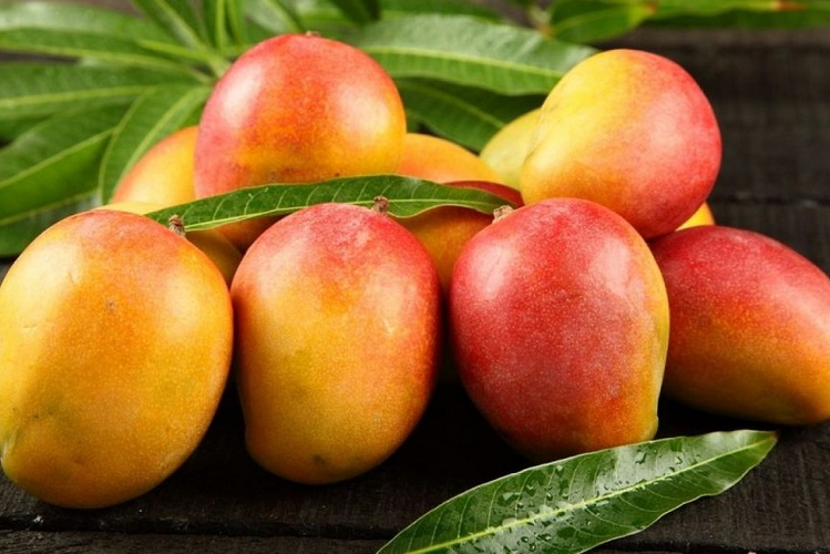 Leia mais sobre o artigo Pernambuco tem recorde no valor da produção agrícola