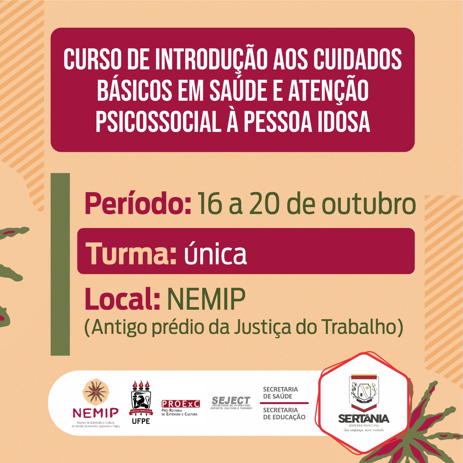 Leia mais sobre o artigo Sertânia: NEMIP realiza curso de extensão gratuito sobre cuidados básicos para pessoa idosa