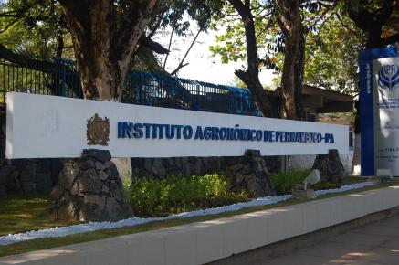 Leia mais sobre o artigo Raquel Lyra suspende “confra” de mais de R$ 600 mil do IPA