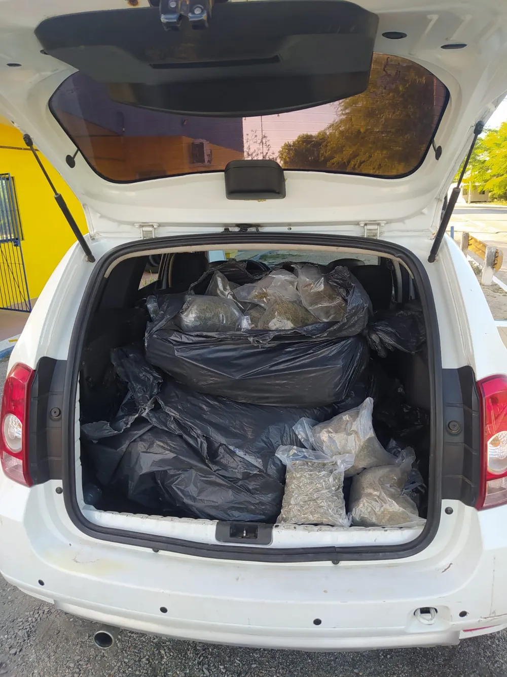 Leia mais sobre o artigo Homem é detido com 34kg de maconha em Sertânia