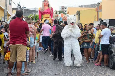 Leia mais sobre o artigo Prévias e bailes vão movimentar próximo final de semana em Arcoverde