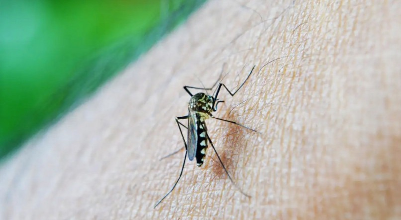 Leia mais sobre o artigo Pernambuco tem aumento de 113,4% nos casos de dengue em 2024 e investiga 6 mortes