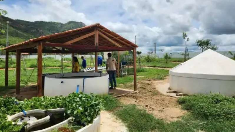 Leia mais sobre o artigo Parceria fortalece desenvolvimento de tecnologias sociais no Sertão de Pernambuco