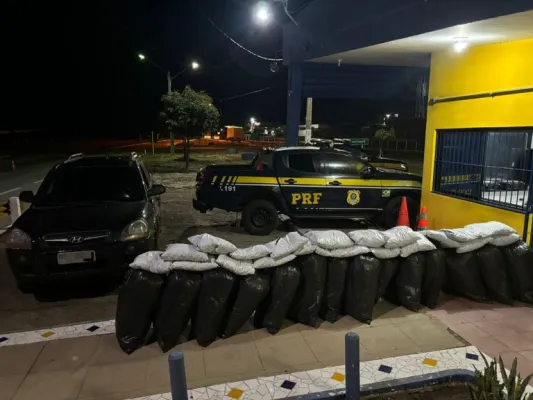 Leia mais sobre o artigo PRF apreende maconha e skunk em Sertânia