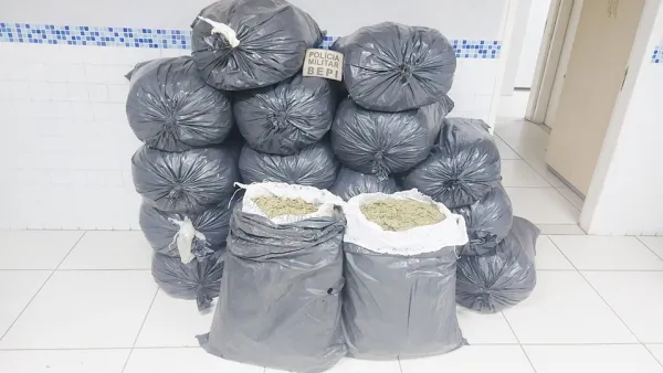 Leia mais sobre o artigo Mais de 270 quilos de maconha são apreendidos pelo BEPI em Sertânia