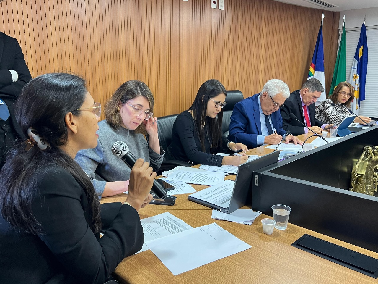 Leia mais sobre o artigo Alepe aprova indicação da nova presidente da Adagro