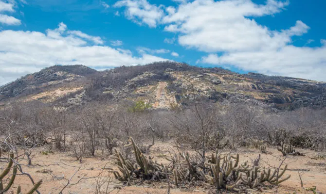 Leia mais sobre o artigo Mais de 90 municípios da Paraíba estão em situação de emergência por causa da seca