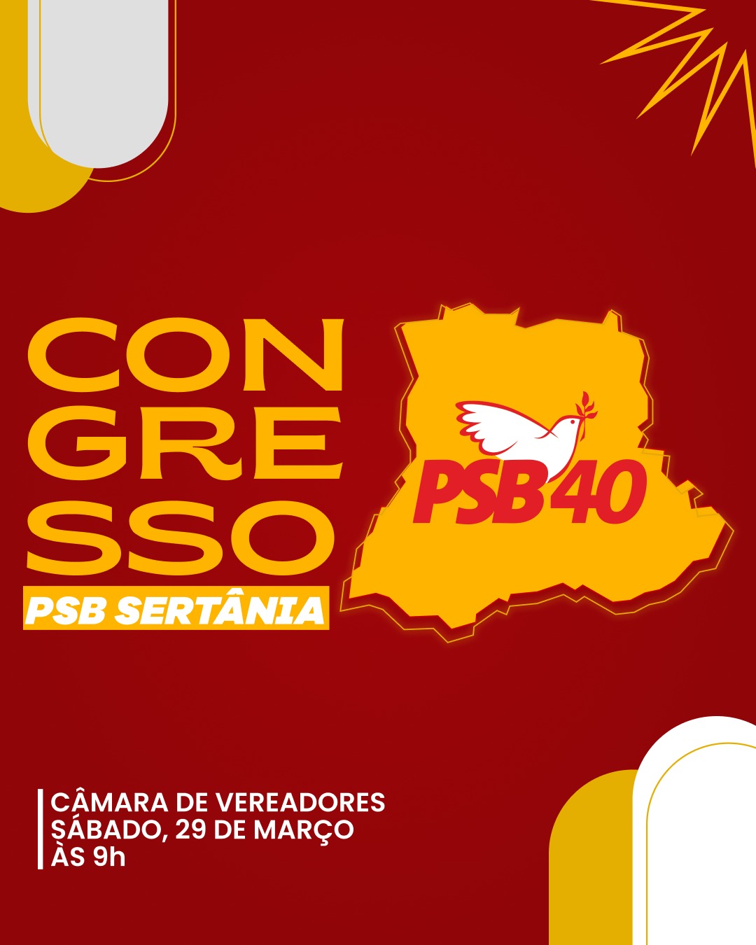 Leia mais sobre o artigo PSB Sertânia realiza congresso sábado