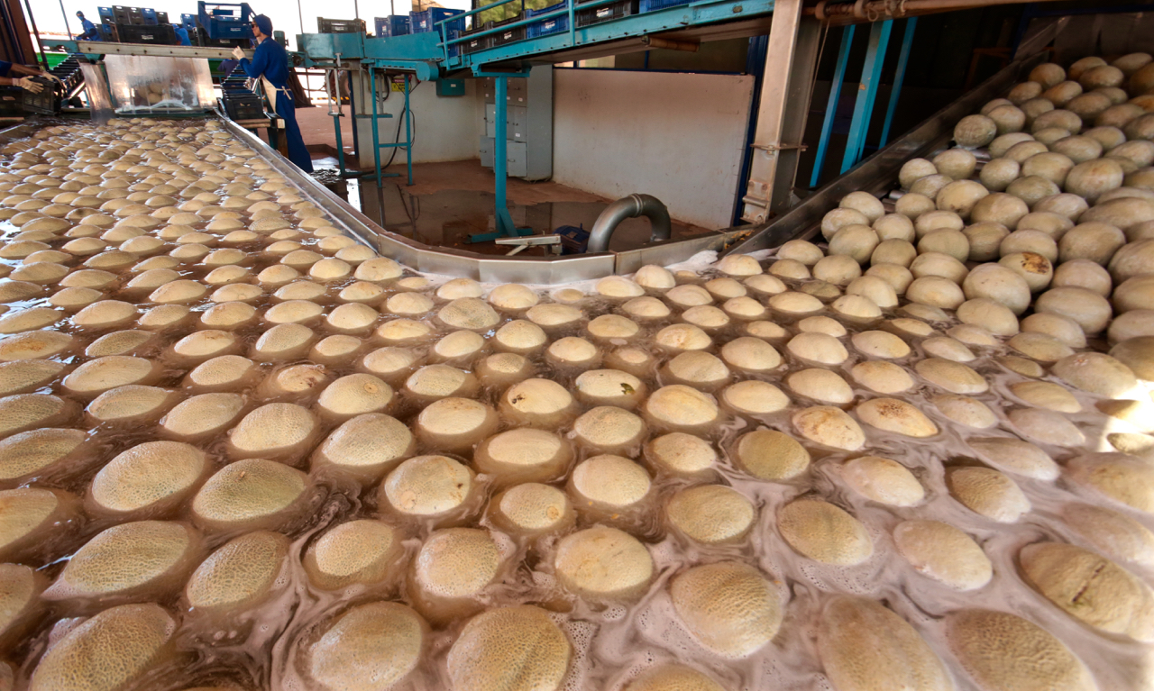 Leia mais sobre o artigo Prodeter apresentou inovações tecnológicos a 30 mil produtores rurais em 2024