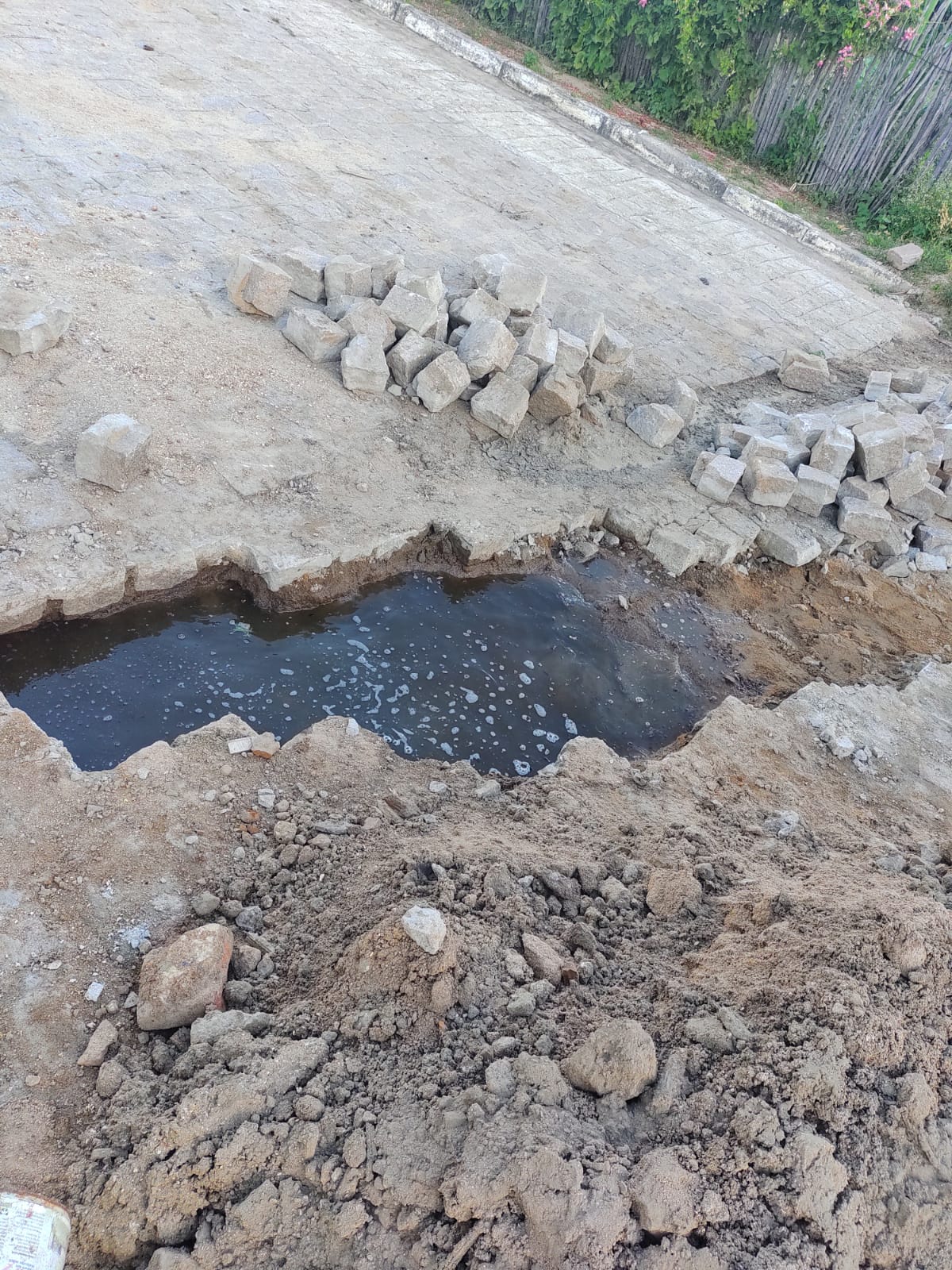 Leia mais sobre o artigo Moradores de Albuquerque Né reclamam de esgoto a céu aberto