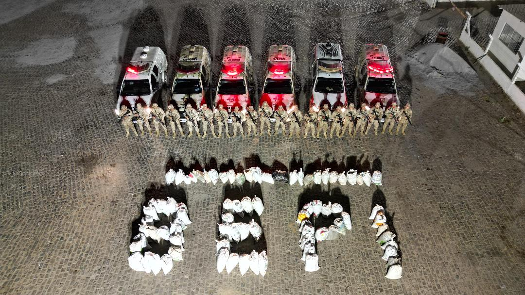 Leia mais sobre o artigo Polícia Militar erradica plantio de maconha em operação entre Pernambuco e Piauí