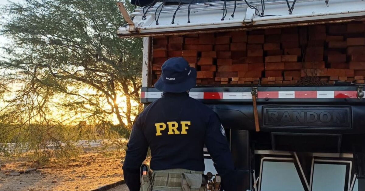 Leia mais sobre o artigo PRF apreende madeira irregular sendo transportada em oito veículos em Pernambuco