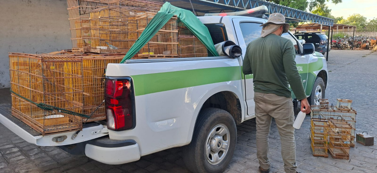 Leia mais sobre o artigo Pássaros são resgatados em operação da CPRH em Serra Talhada
