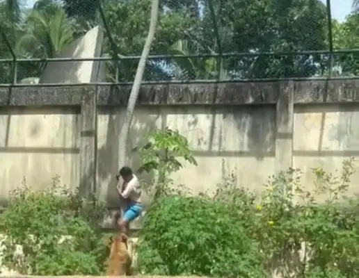 Leia mais sobre o artigo Homem morre após invadir jaula de leoa em parque de João Pessoa