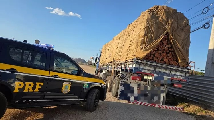 Leia mais sobre o artigo PRF apreende 140 m³ de madeira ilegal em Salgueiro