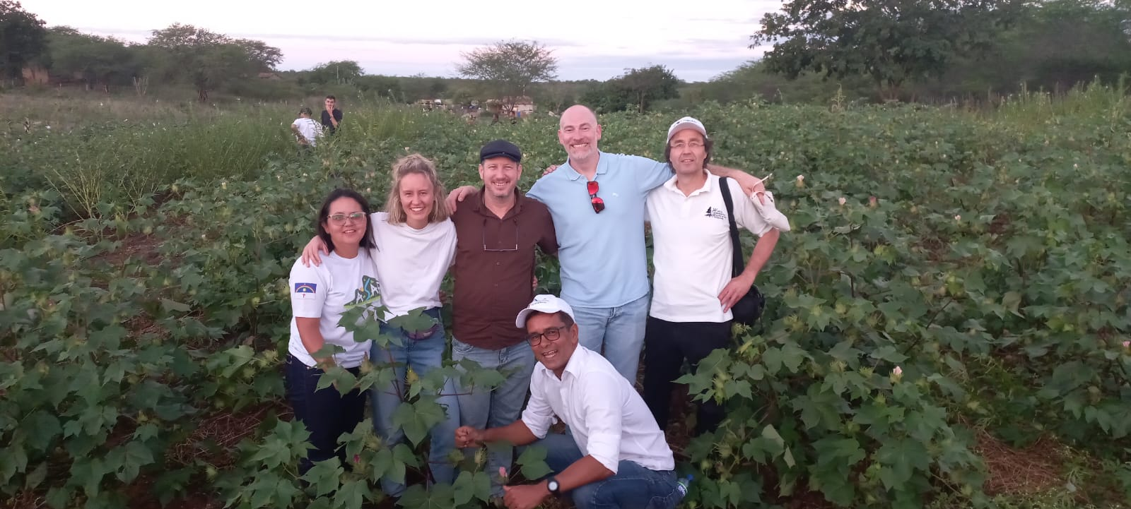 Leia mais sobre o artigo Algodão agroecológico de Sertânia ganha destaque internacional